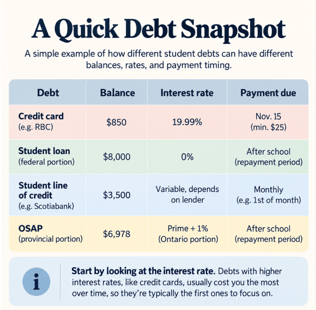 Example debt snapshot showing balances, interest rates and payment timing